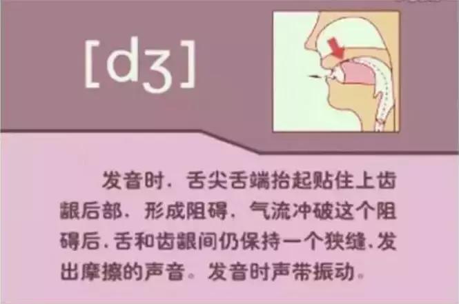 音标发音48个正确发音口型,小学英语音标发音48个口型