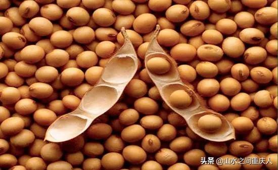 DDT、橙剂、转基因:生态环境摧毁者—孟山都