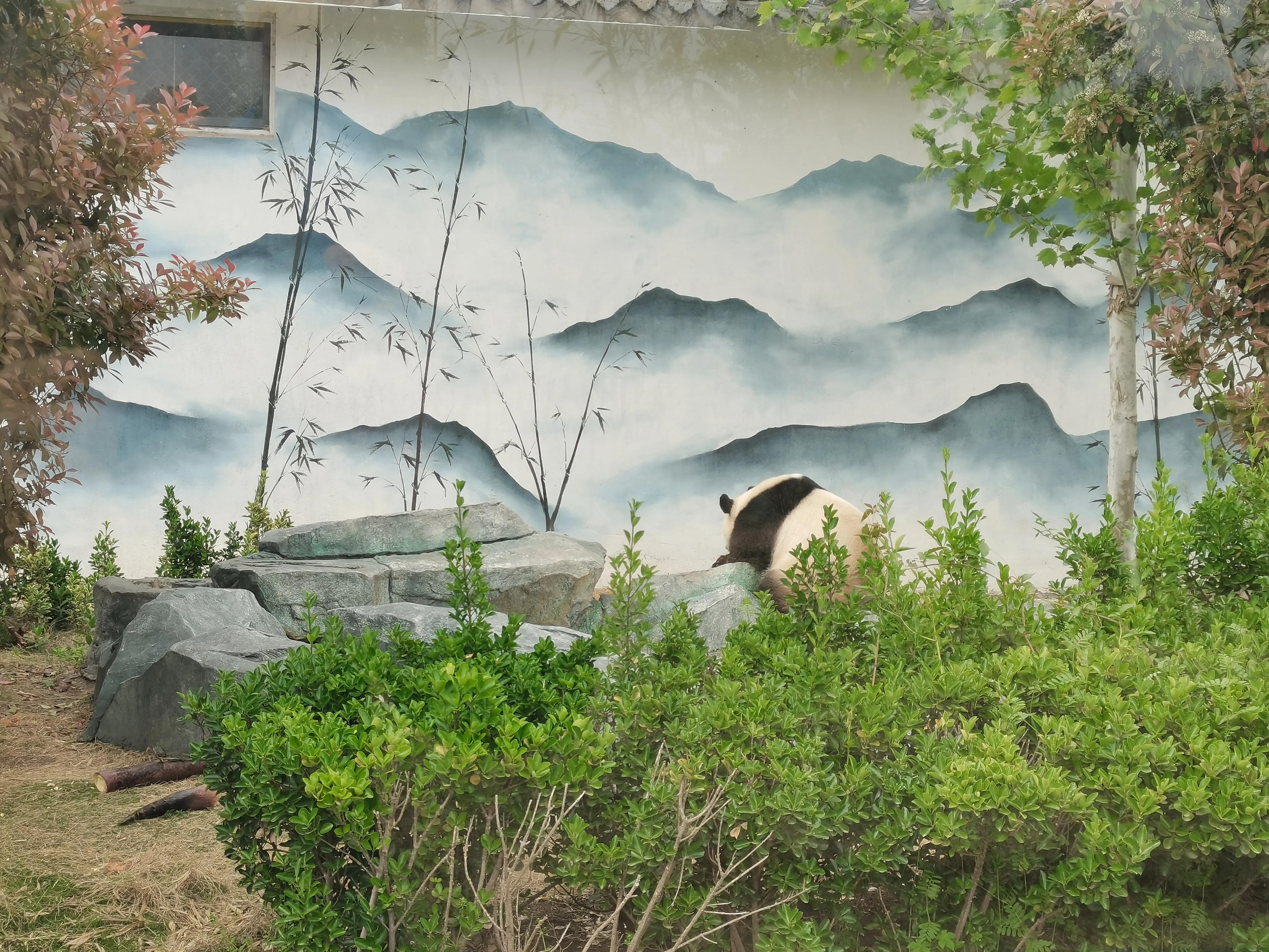 济南野生动物园和宿州野生动物园,宿州野生动物园到宿州皇藏峪