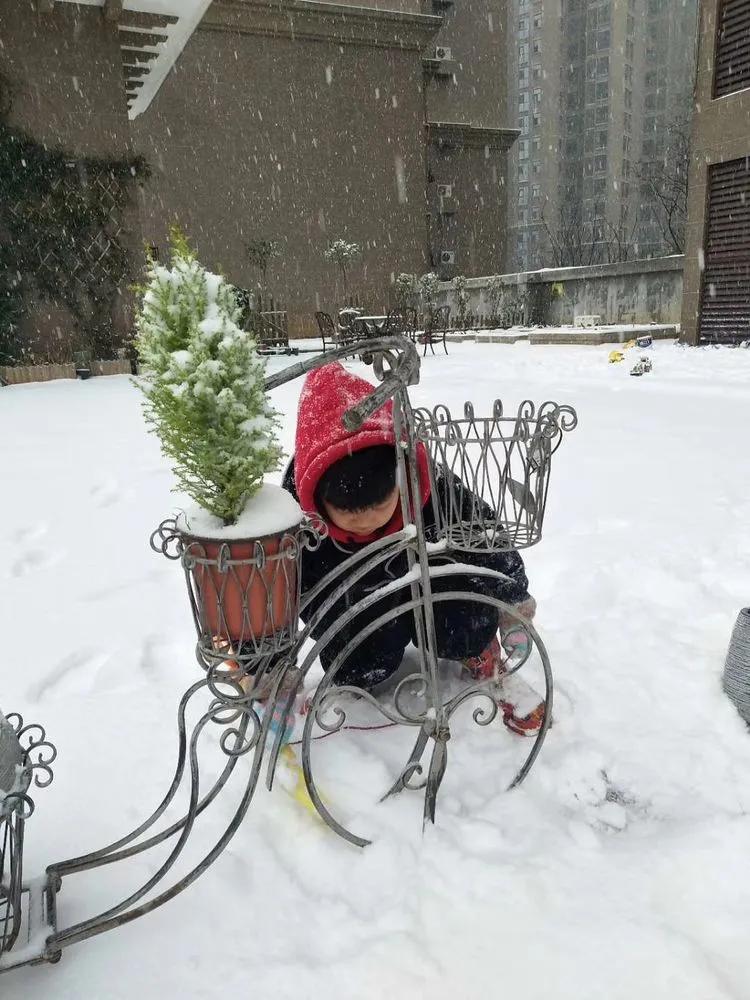 第七届园丁奖,第六届园丁奖奖励