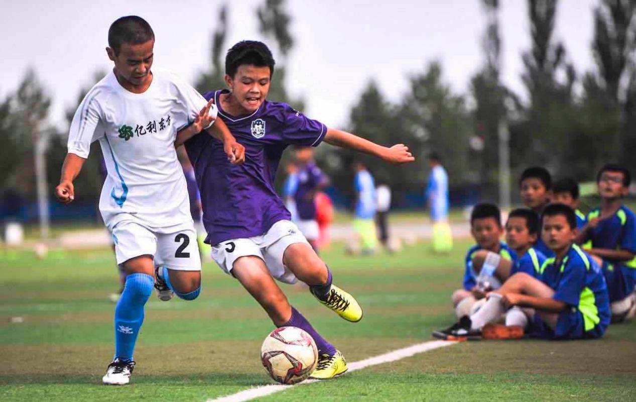 双学校教育资源强势入驻如何抢占发展先机？