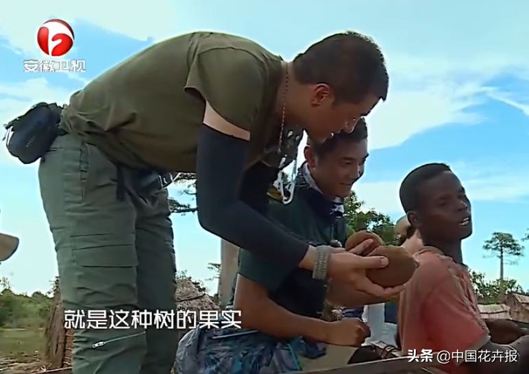 从小就觉得面包树上结的是“面包”？你只差一个亲眼看看的机会