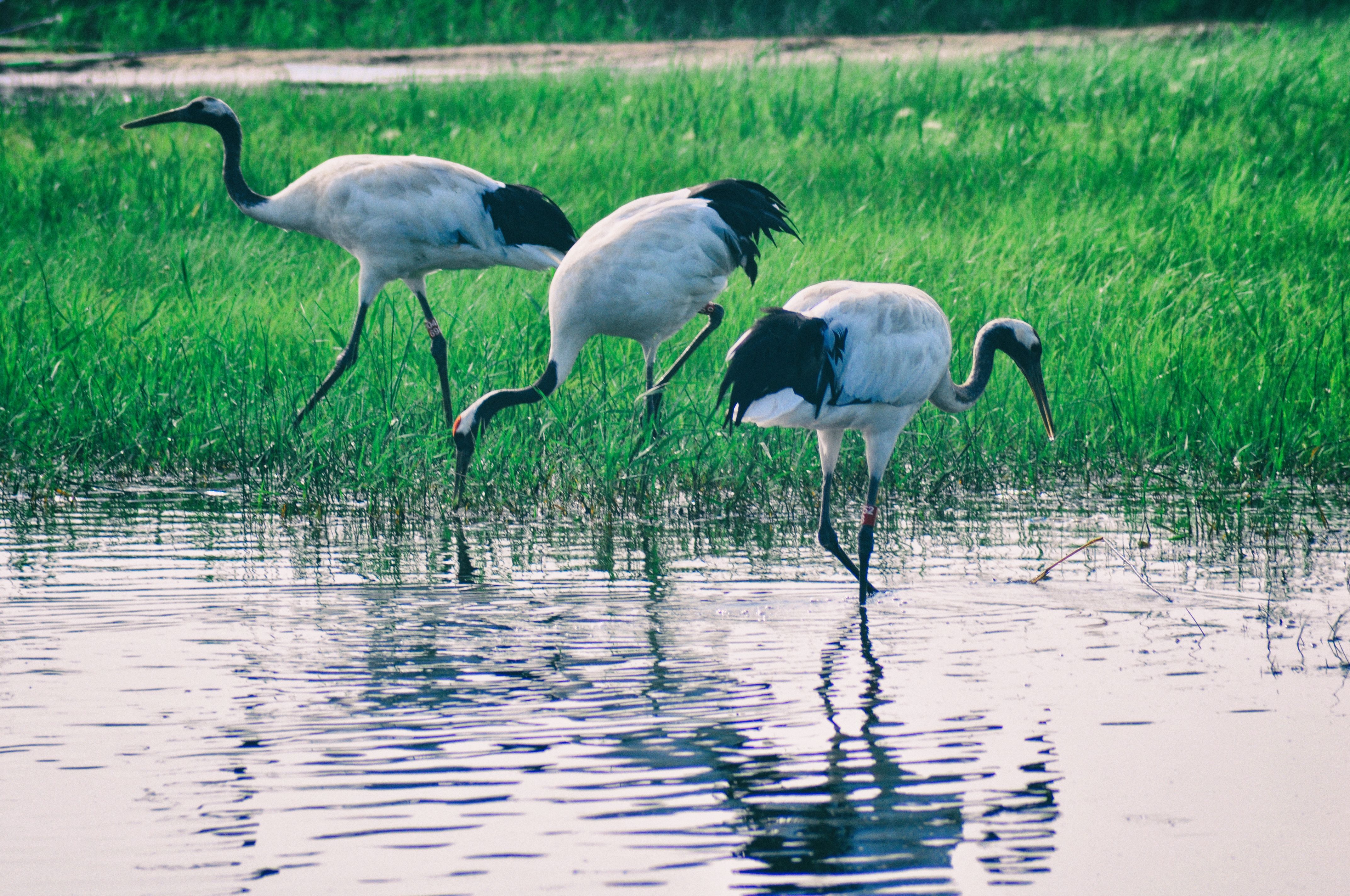 南方人自驾来东北是啥体验,15天一万公里的新疆感受