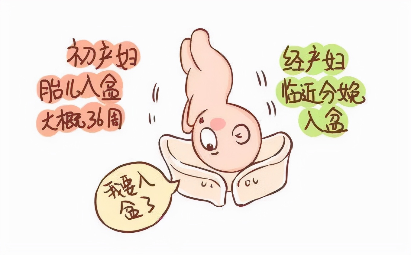 胎儿多少周入盆,胎儿入盆是什么感觉
