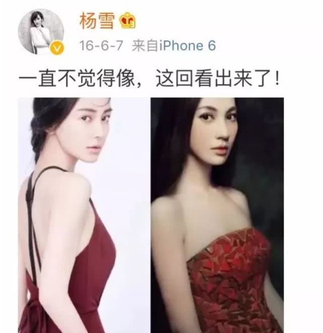 都姓杨，看这谜之相似的脸，她真不是Angelababy姐姐？