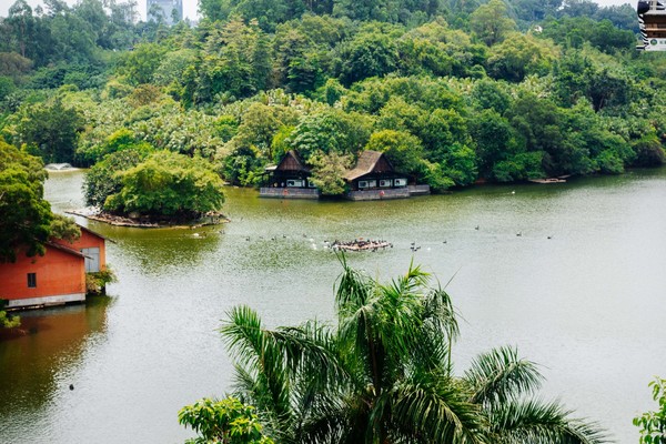 广州长隆旅游攻略自由行详细,广州长隆五一节3天2夜亲子游攻略