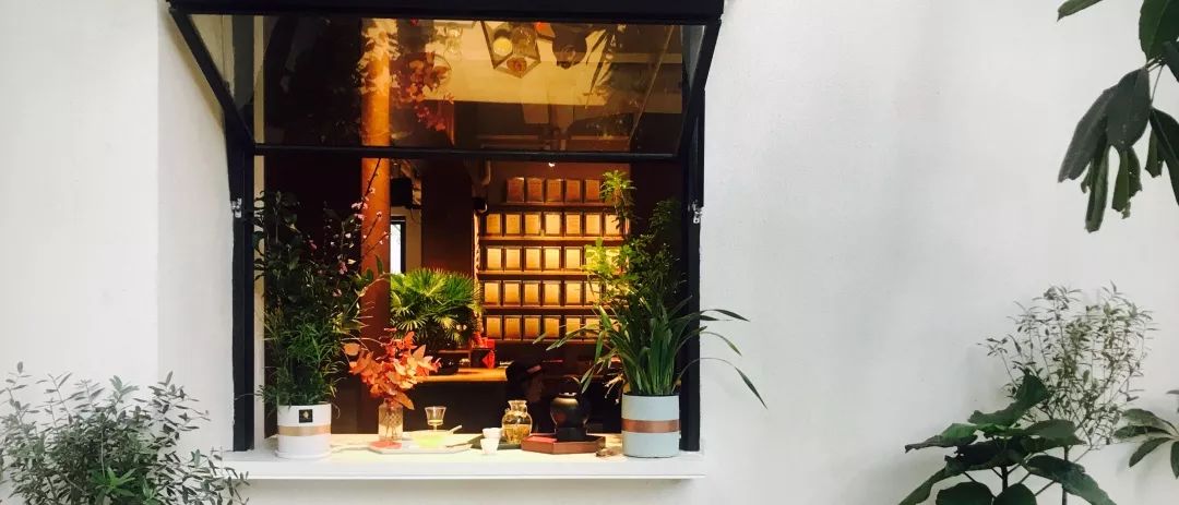 手机如何拍出胶片感照片,旧胶片怎样用手机成像