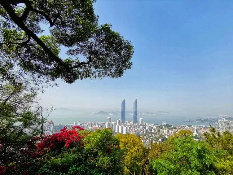 手机拍出的照片黑是怎么回事,手机拍照不清楚是啥原因呀