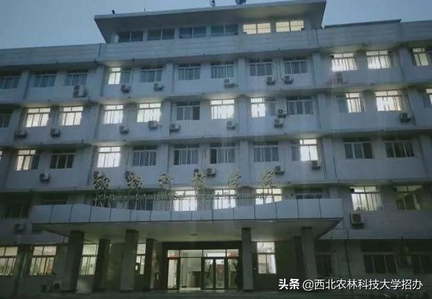 一所大学就是一座城！让你爱上西北农林科技大学的5大理由