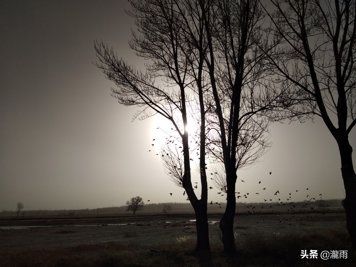 一个人浙江周边2-3天短途旅游,浙江出发1000公里以内旅游
