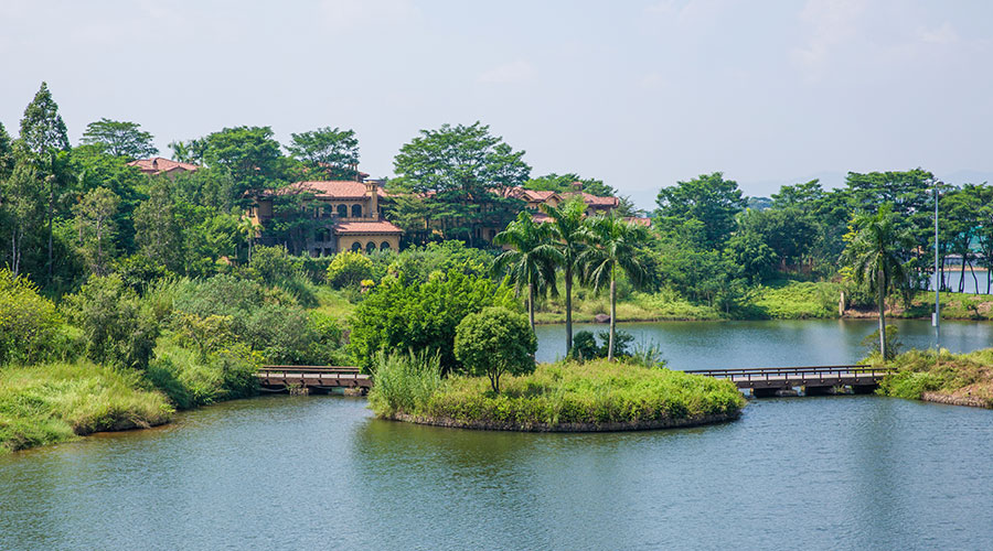 广州摘荔枝玩水,广州摘水果泡温泉