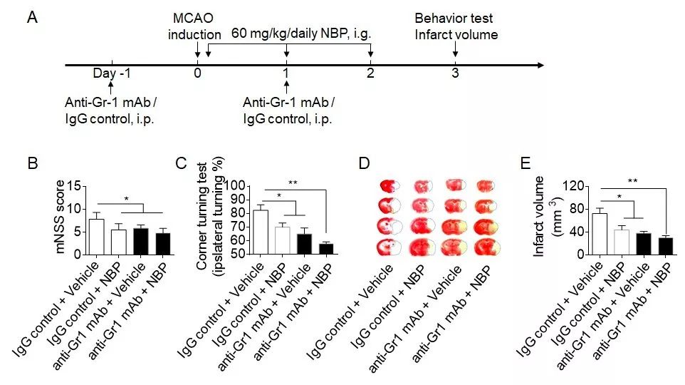 脑科学日报|研究：青少年时的性格或与晚年时患痴呆症的风险有关