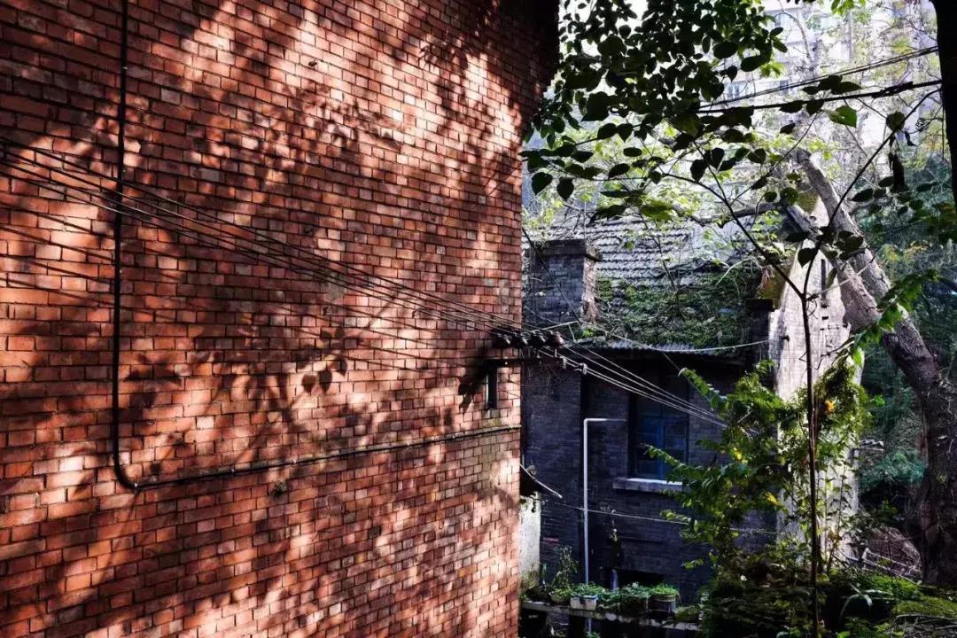 铜元局记忆视频,铜元局记忆照片