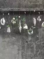 环创立体贝壳,贝壳墙环创