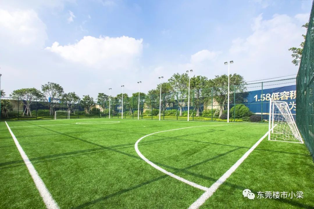 碧桂园常平玫瑰臻园别墅,东莞常平碧桂园玫瑰臻园