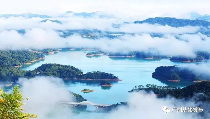 我是真的热啊,从化的天气有多冷