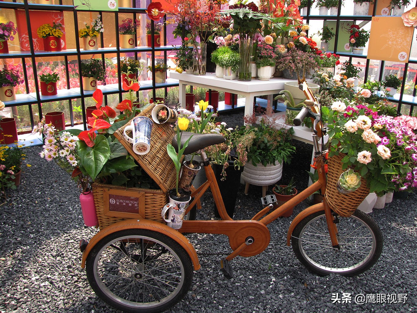 广州国际花博会2018年开幕,第28届广州园博会花城看花