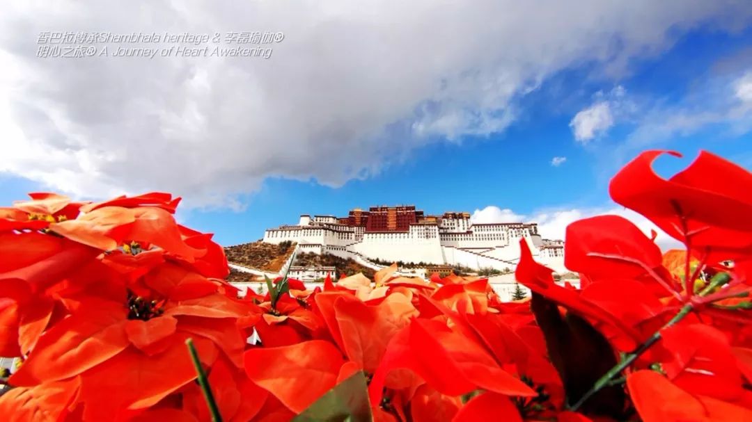 帶著瑜伽去旅行【明心之旅·*藏西**站】