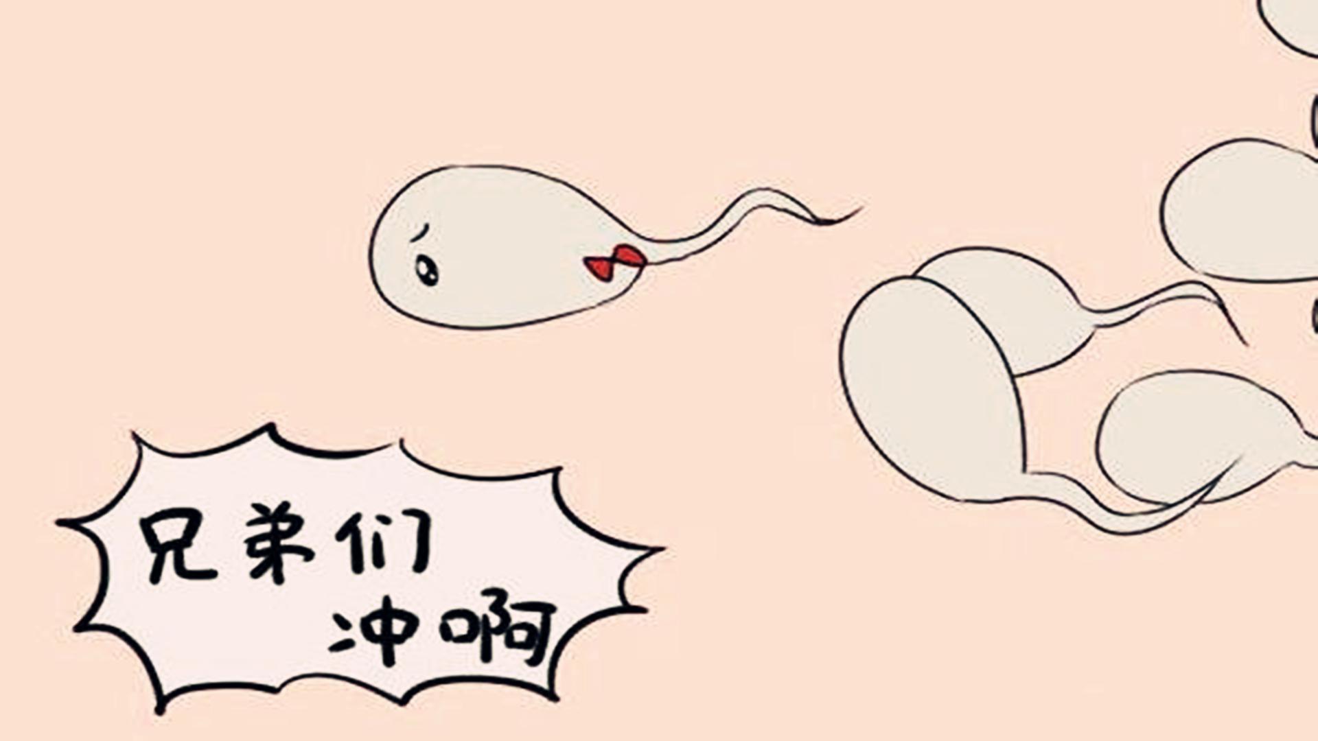 避孕最好方法和最安全的方法,女性有几种避孕措施