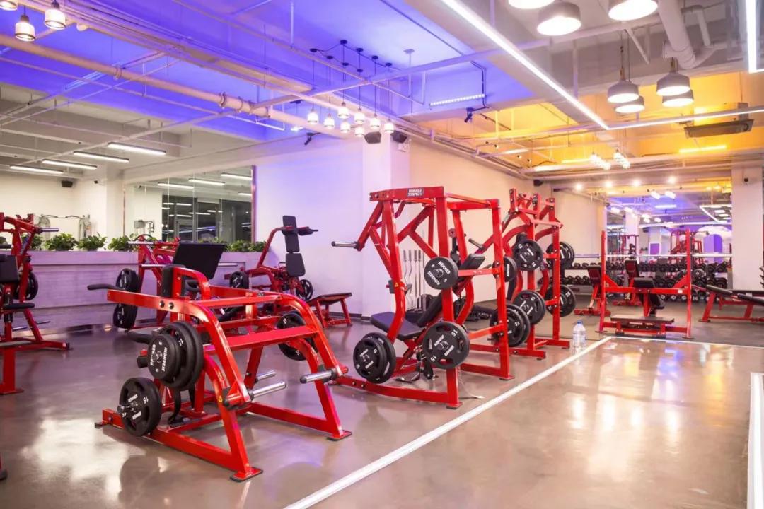 dms竞技核心训练营,专业健美训练营