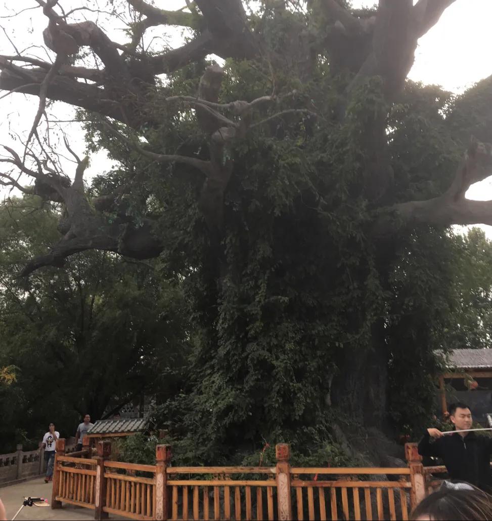 右脚小拇指指甲盖里有小黑点,右脚小拇指指甲盖变厚怎么治