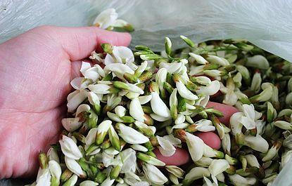 国槐和洋槐的区别有哪些,槐树跟洋槐的区别