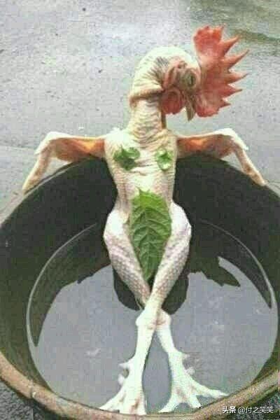 昨天愚人节有没有被捉弄？如果没有我们一起看个笑话笑笑吧