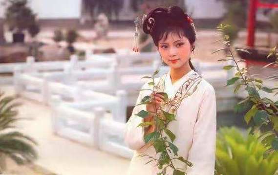 邹晓丽老师：曹雪芹的语言观（三）