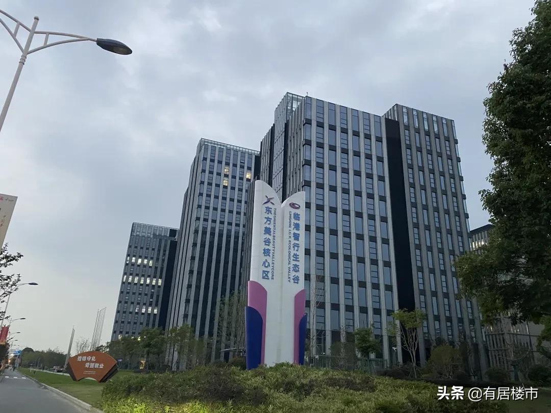 奉贤为啥只发展南桥,奉贤新城有潜力吗