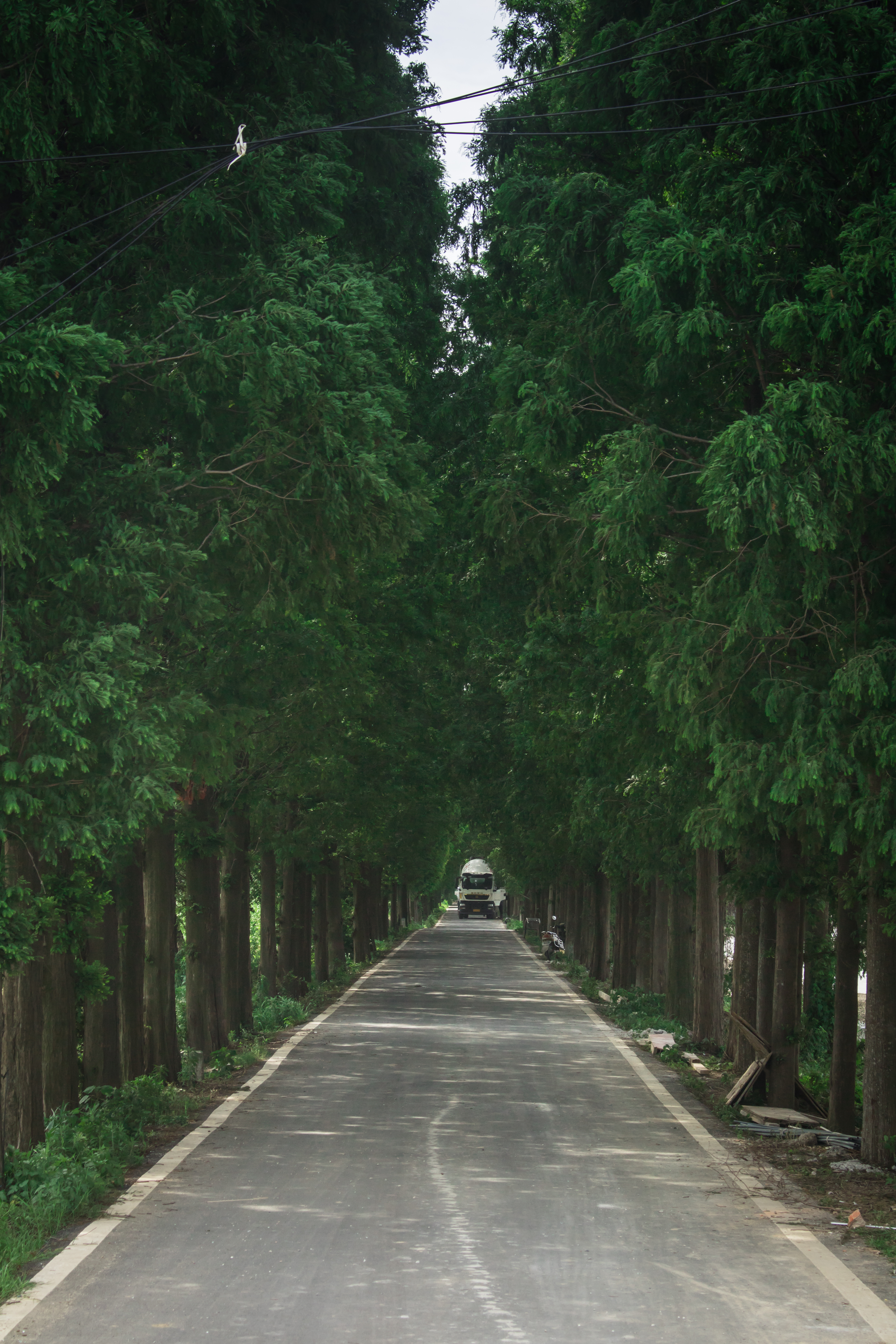 江南水乡长荡湖,烟雨江南湖中美景