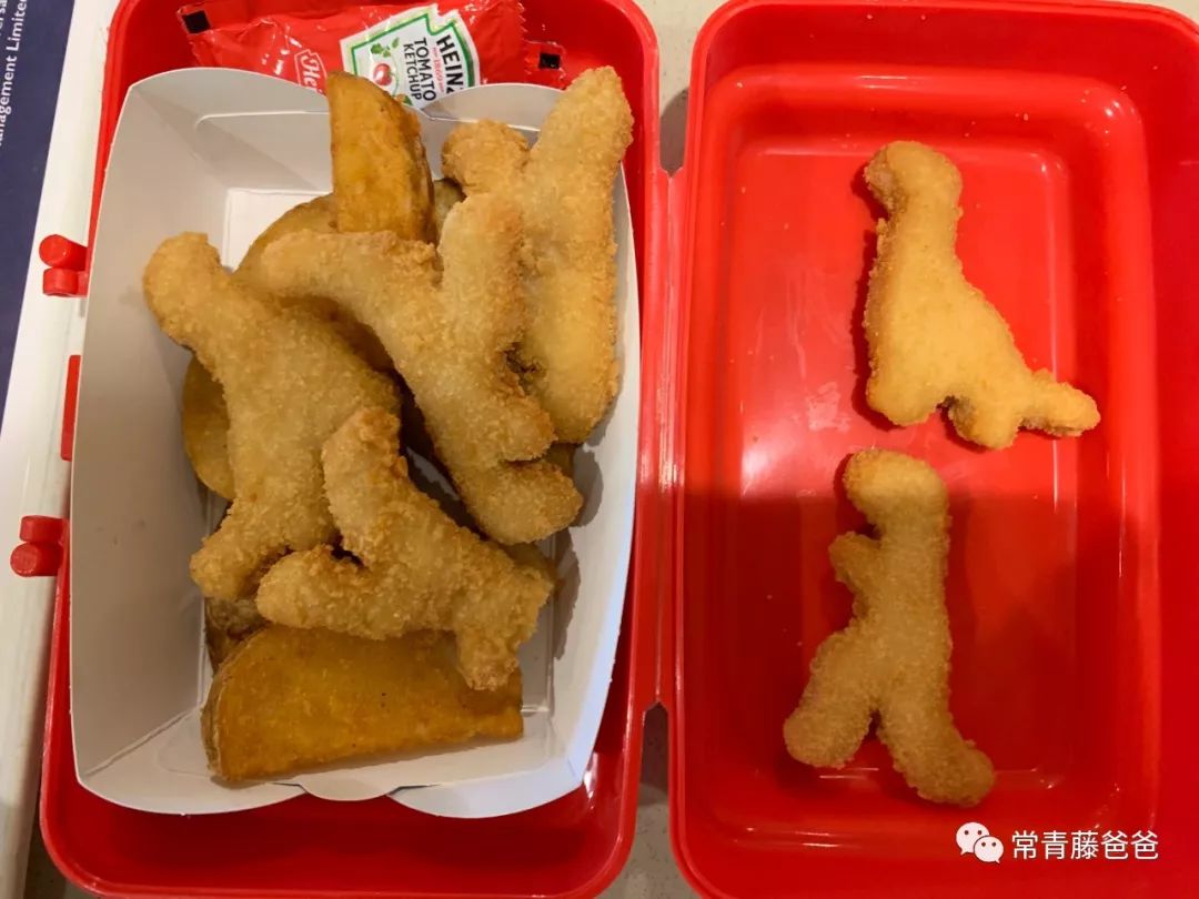 十一新加坡,十一游学新加坡