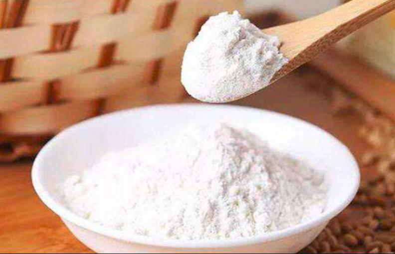 雪纳瑞月经期怎么处理,雪纳瑞月经