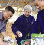 “五黑鸡司令”李金福：海外归来再创业