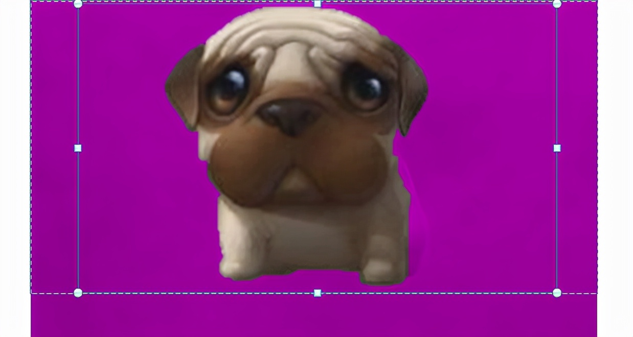 word里如何更换照片背景色,word背景色怎么去掉