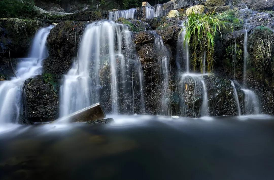 新手华为手机拍照,华为相机慢动作拍摄怎么拍
