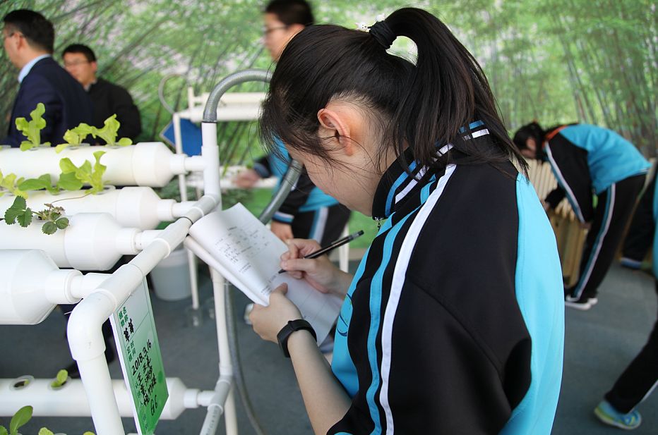 2019高中全景图,航拍二中青春