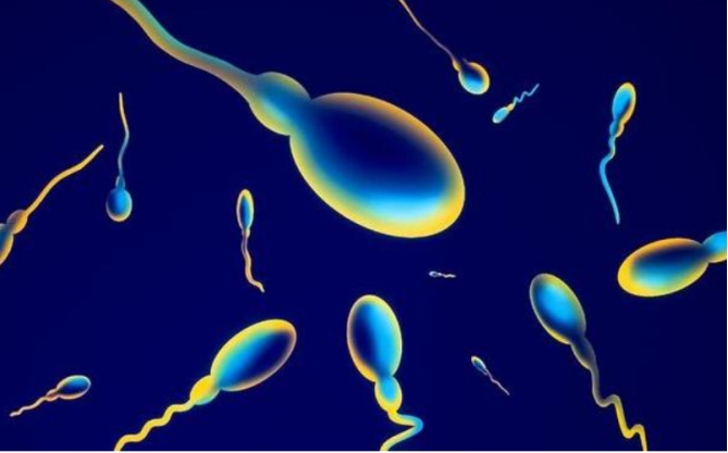 精子和卵子结合为什么闪光,精子和卵子在相遇那一刻就定性了