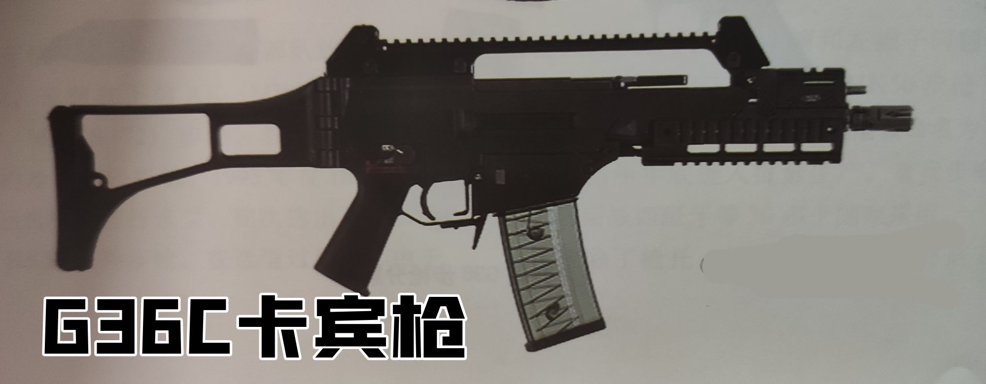 英国枪史图册全篇,德国枪图片