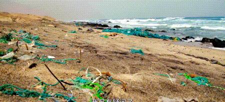 渔业危机纪录片,渔业阴谋纪录片预告