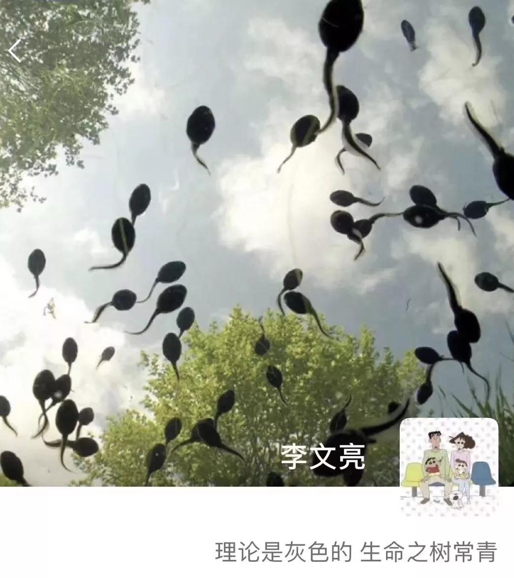 这位美丽少女生于清明，逝于21，写的书至今治愈无数人心灵