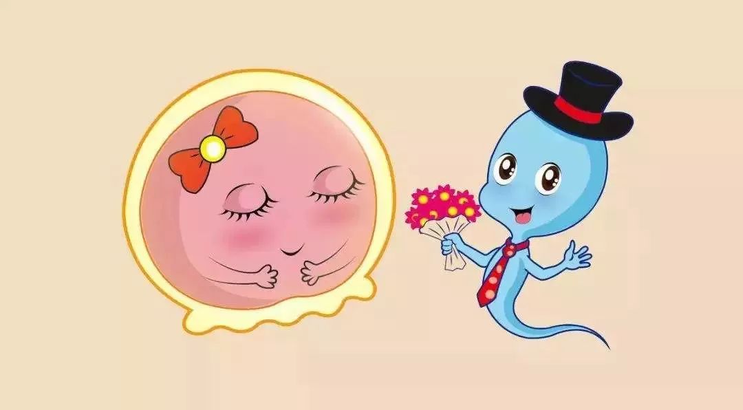 如何提高排卵期受孕的几率,排卵期受孕几率怎么提高