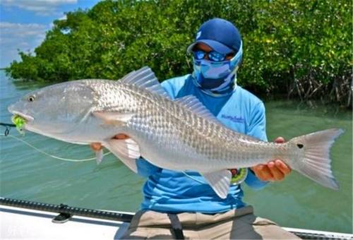 钓鱼，我们跟国外有什么不一样？有这四点差异性