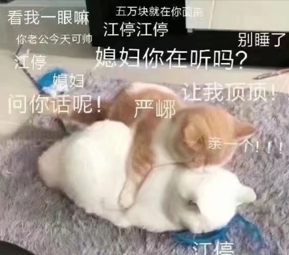 晋江最好看的刑侦悬疑纯爱小说 (言情推理破案类的小说超甜)