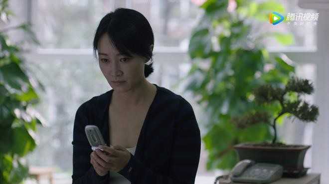 猎狐1至44集解读,猎狐2020电视剧免费观看