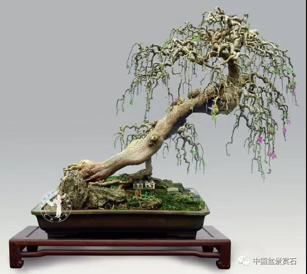 鄂州葛店46位革命英雄