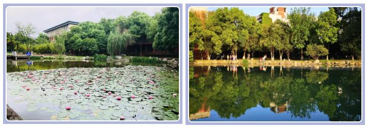 武汉外语外事职业学院可以进出吗,武汉外语外事职业学院出国