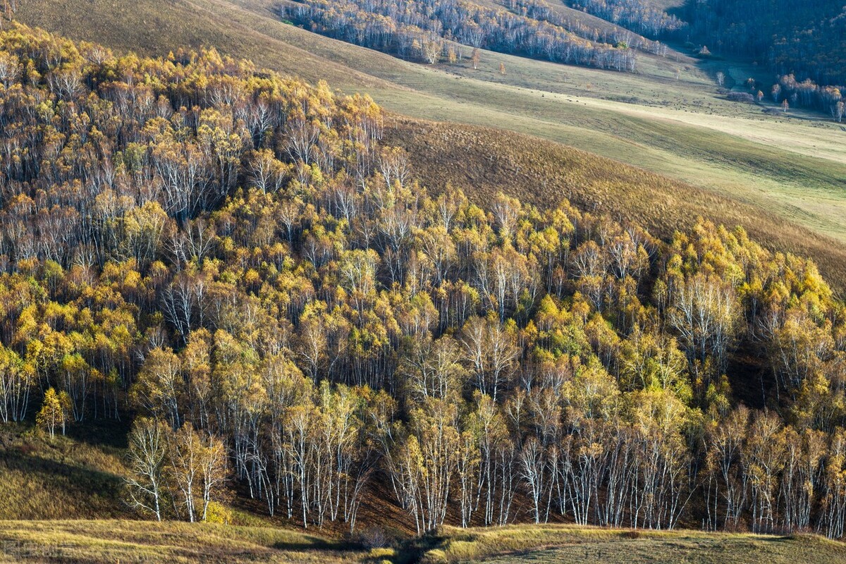 卵巢囊肿不用担心！中医活血化瘀、理气散结，消散囊肿不反复