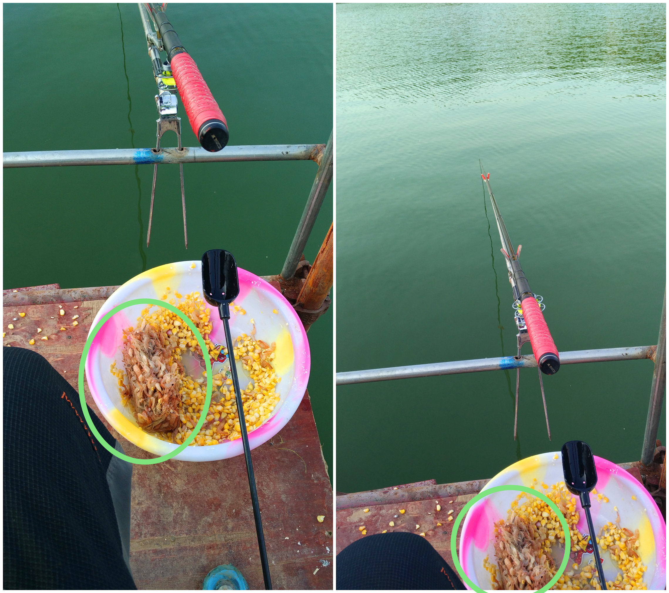 肥水草鱼窝料,综合塘草鱼窝料