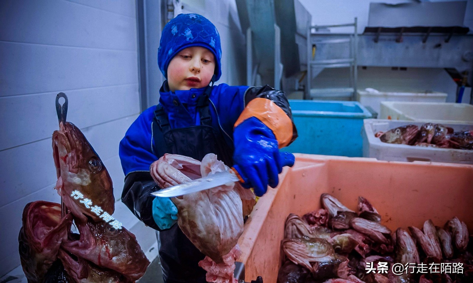 砸锅卖铁供你读书这句话对吗,砸锅卖铁也要供你上学的励志语录