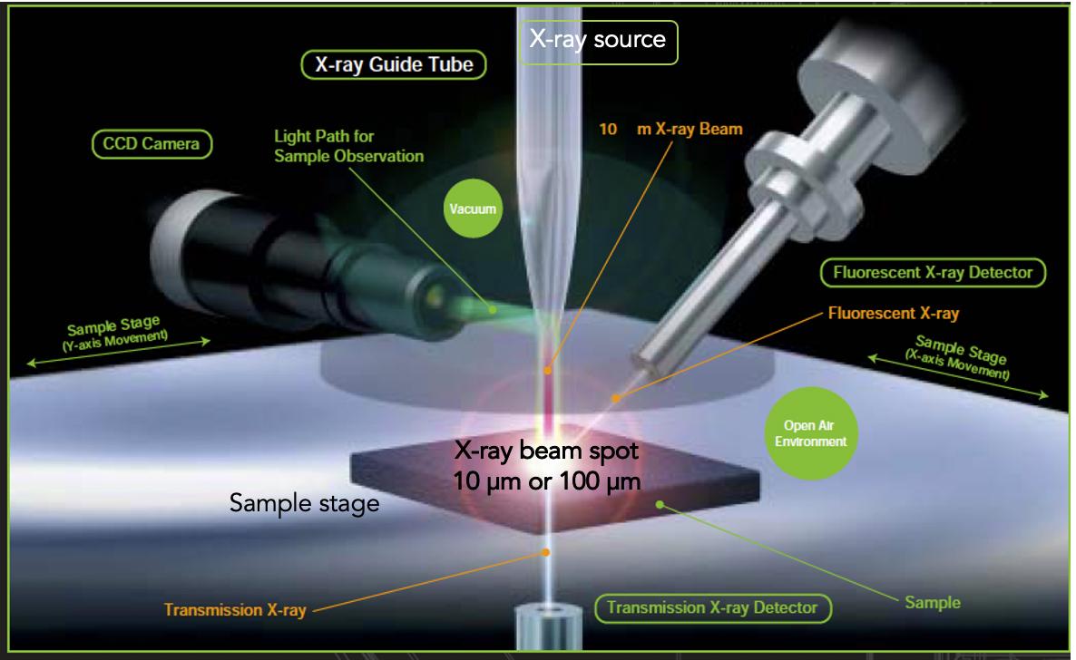 人类首次拍到卵细胞,精子和卵子结合为什么闪光